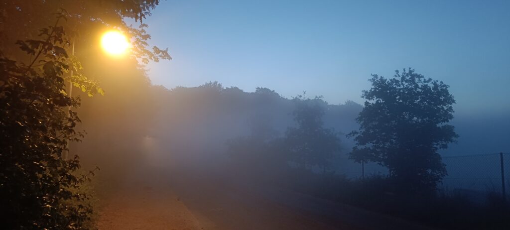 Sumuinen öinen tie. Sinertävä, hämyinen tunnelma. Taustalla metsää. Etualalla katulampun kirkas loiste, kauempana toinen katulamppu